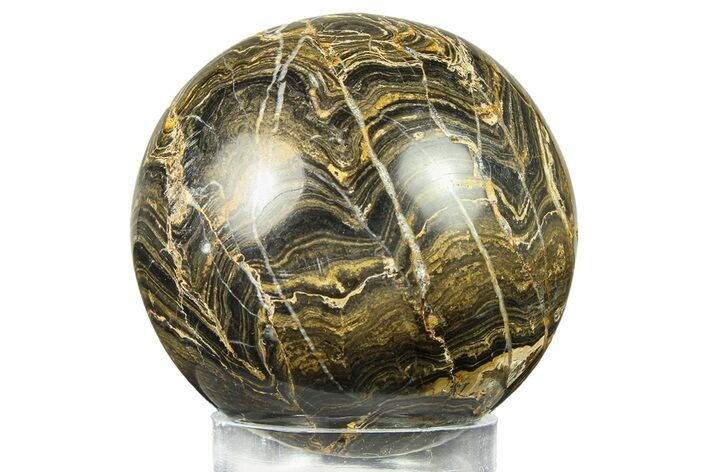 Polished Stromatolite (Greysonia) Sphere - Bolivia #302468